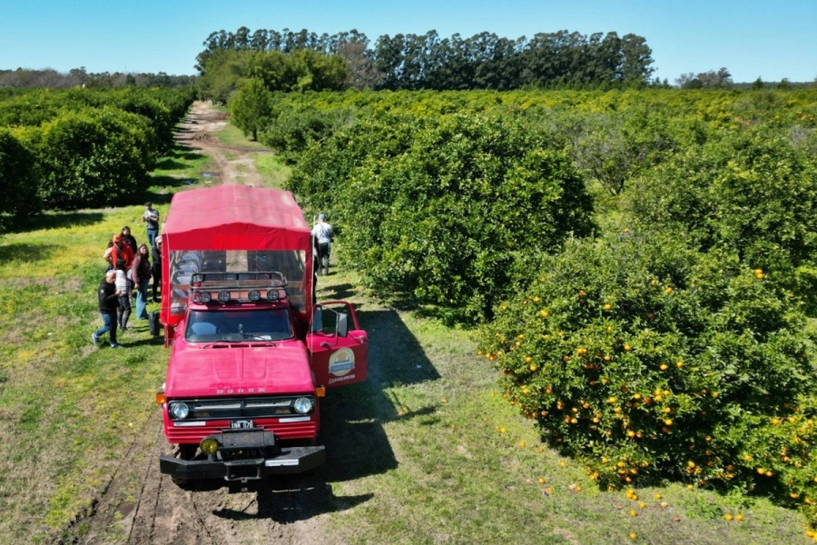 Los recorridos se realizan en un cami&oacute;n adaptado para 20 pasajeros.