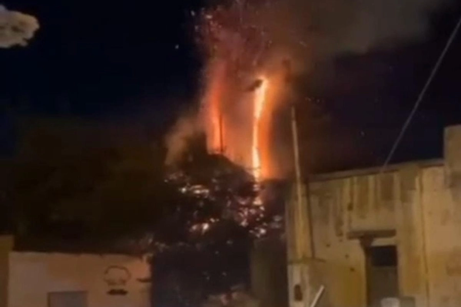 La falla tom&oacute; contacto con un &aacute;rbol.