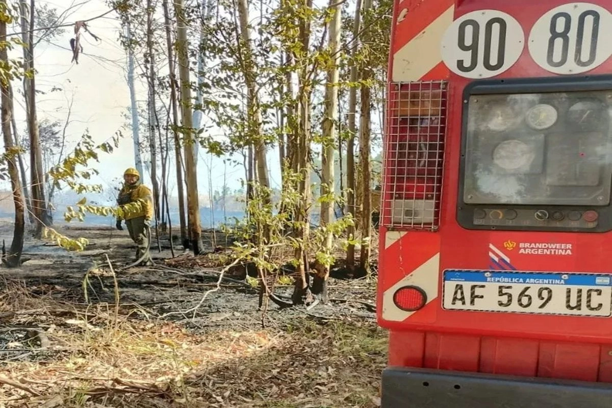 Fueron 8 los focos &iacute;gneos d&oacute;nde bomberos intervino.