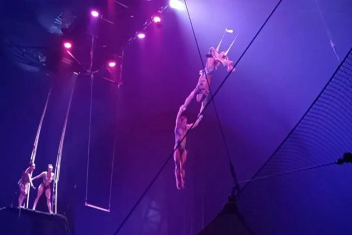 Junto al elenco obtuvieron el premio de tres Estrellas de Mar.