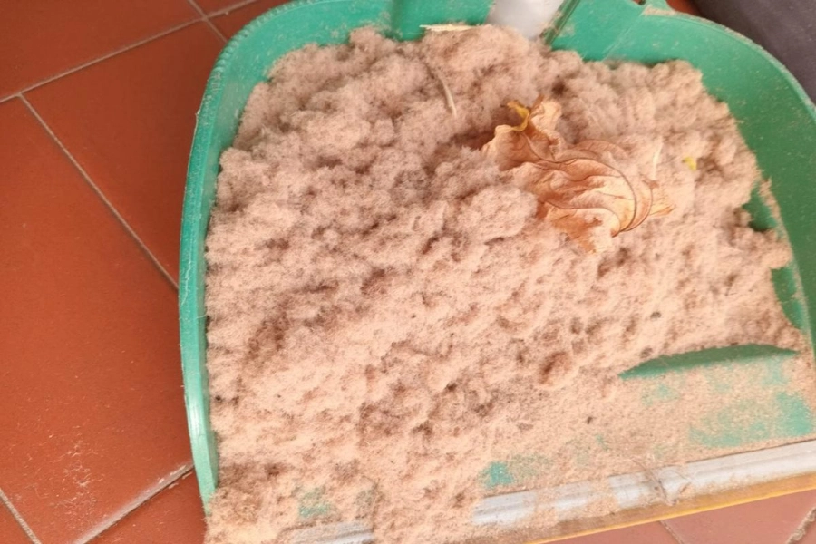 Los residuos juntados por los vecinos es ese sector de Concordia.