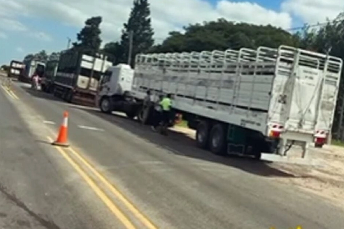 Intervino el Senasa y los camiones deb&iacute;an volver a sus puntos de origen.