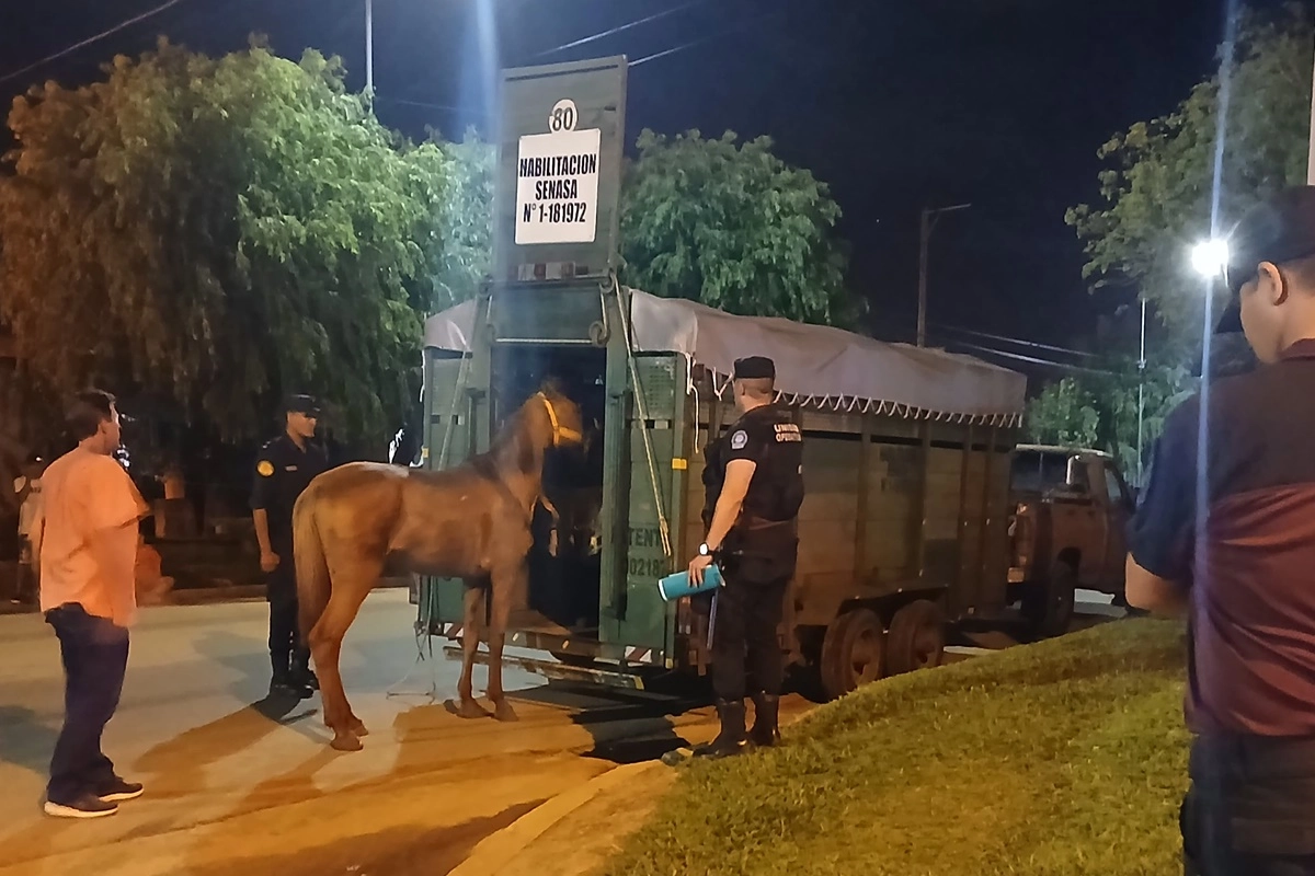 El hombre que se encontraba a cargo del carro fue trasladado a la Jefatura Departamental.