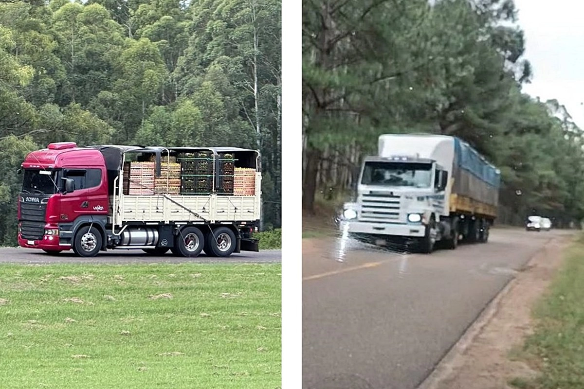 Dos de los camiones que circularon este pasado fin de semana.