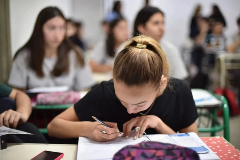 Impulsan un proyecto de ley para frenar la violencia escolar y crear un observatorio aut&oacute;nomo