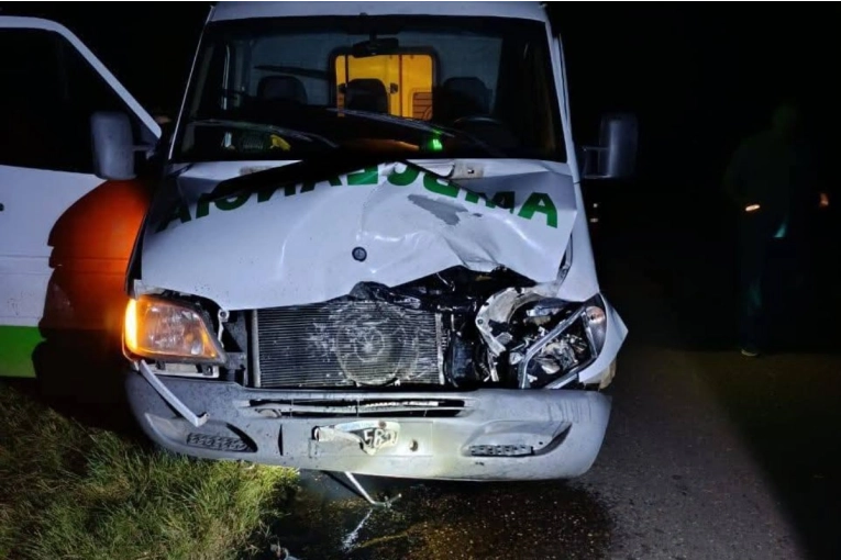 Una ambulancia impact&oacute; contra un animal que estaba sobre la Ruta 4