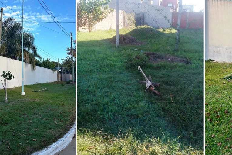 Denunciaron daños en árboles y cartelería pública en la ciudad de Concordia