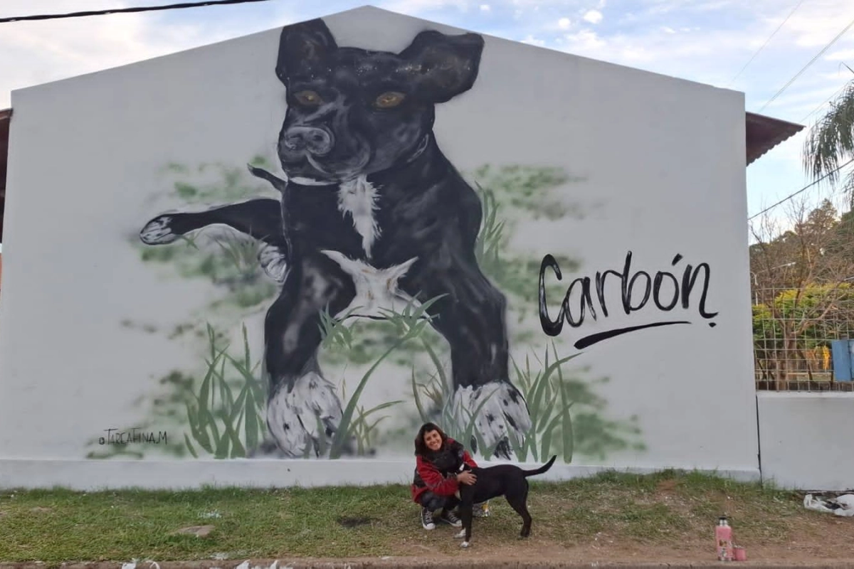 El mural se encuentra en una pared de la escuela primaria de Villa Adela.