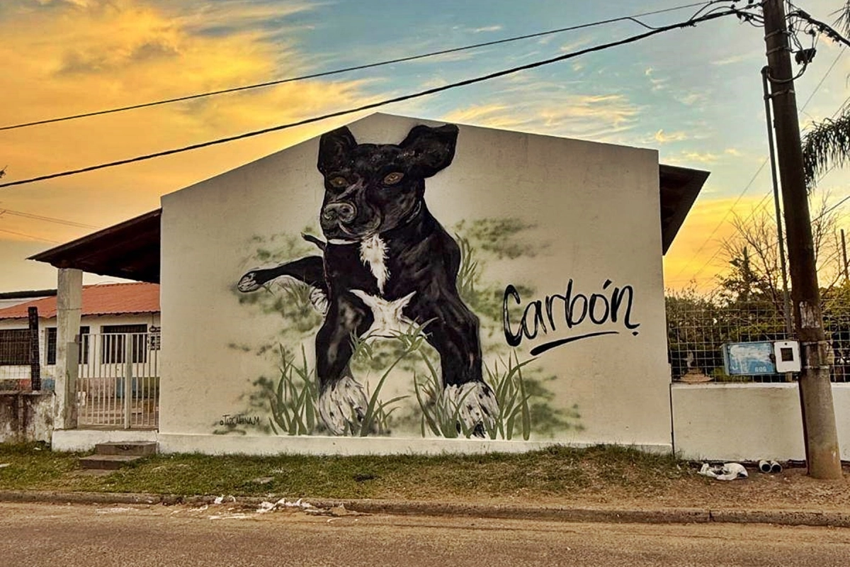 Drag&oacute;n a Carb&oacute;n: &iquest;D&oacute;nde Est&aacute;s, Carb&oacute;n?