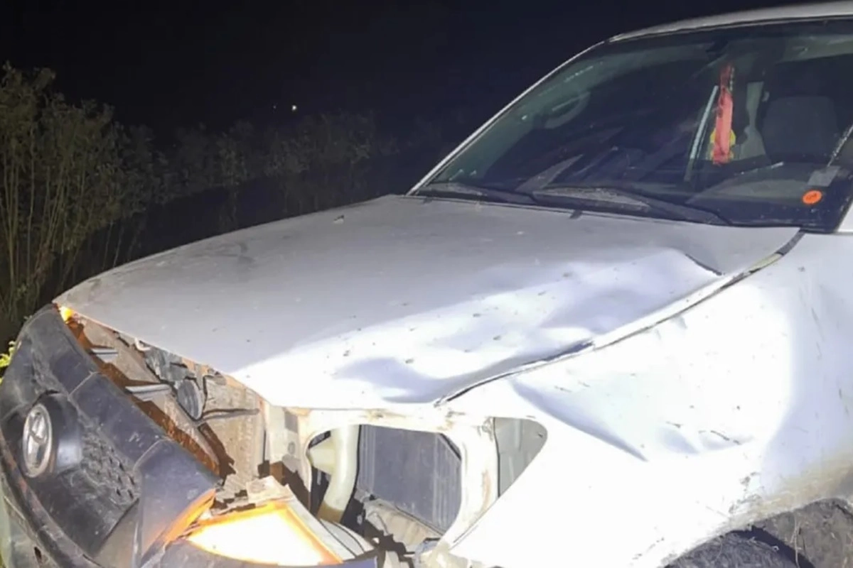 En el lugar tambi&eacute;n se hizo presente el propietario del animal involucrado en el incidente.