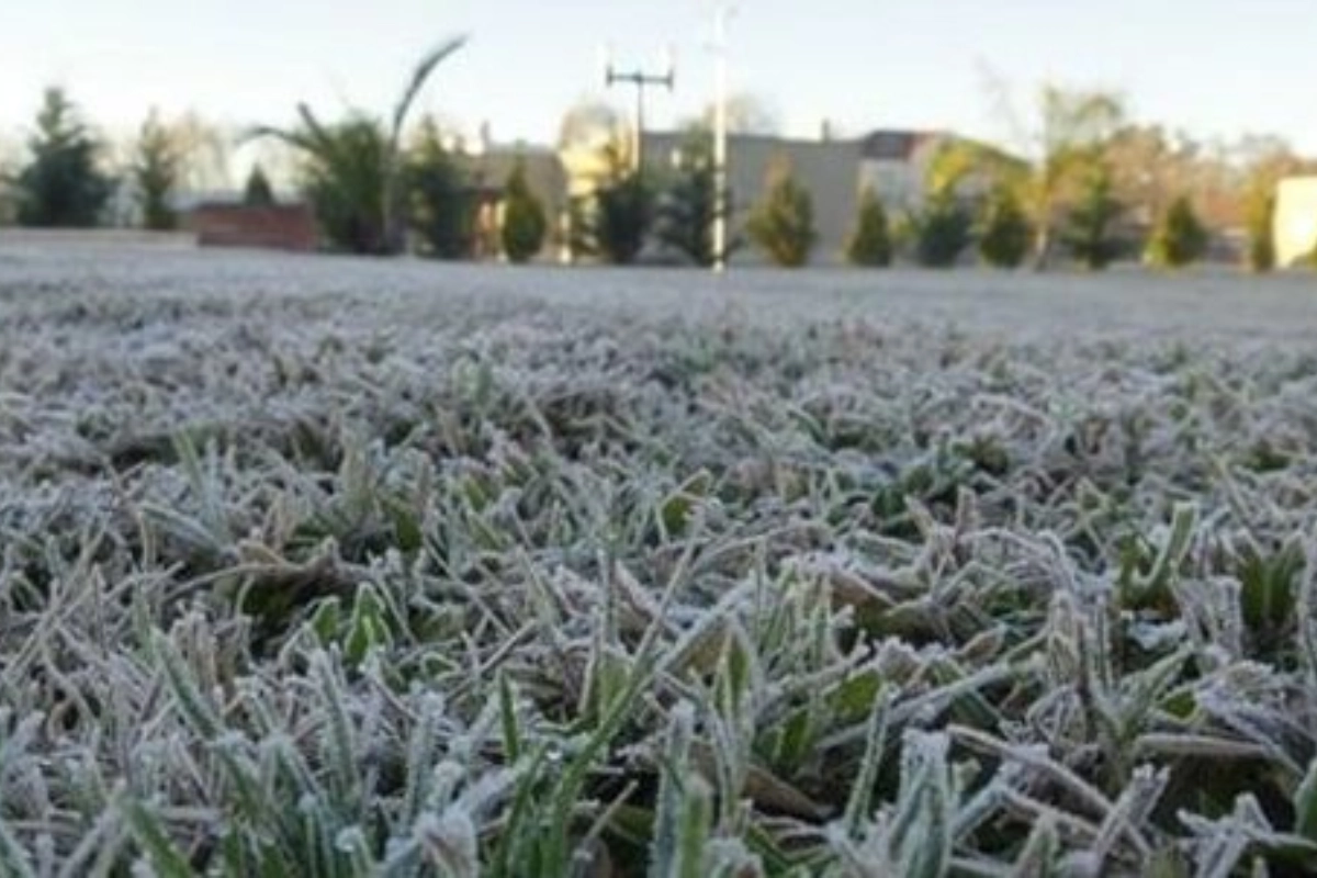 Se registraron las primeras heladas de este invierno.