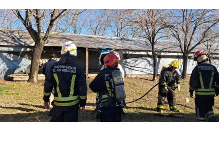 Un principio de incendio afectó a una granja avícola sobre la Autovía 14