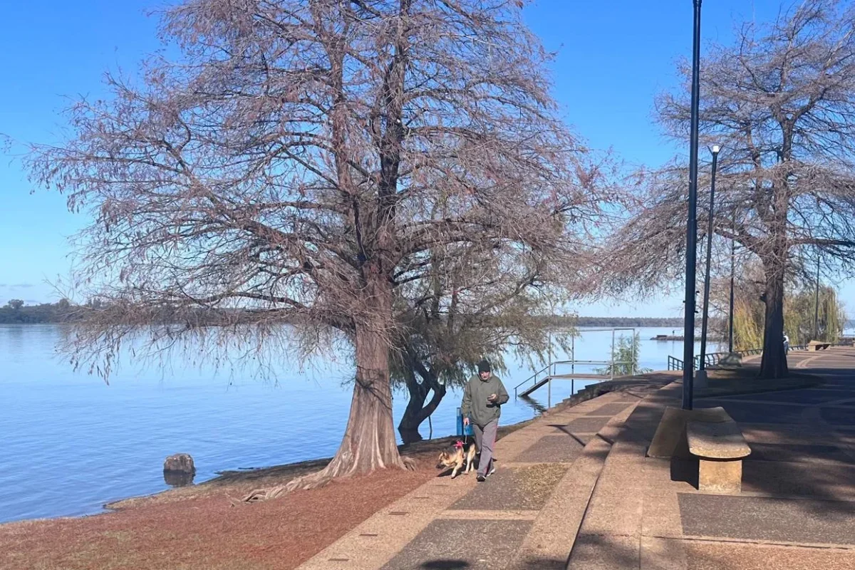 Ya se puede observar la creciente en la costa del r&iacute;o Uruguay.