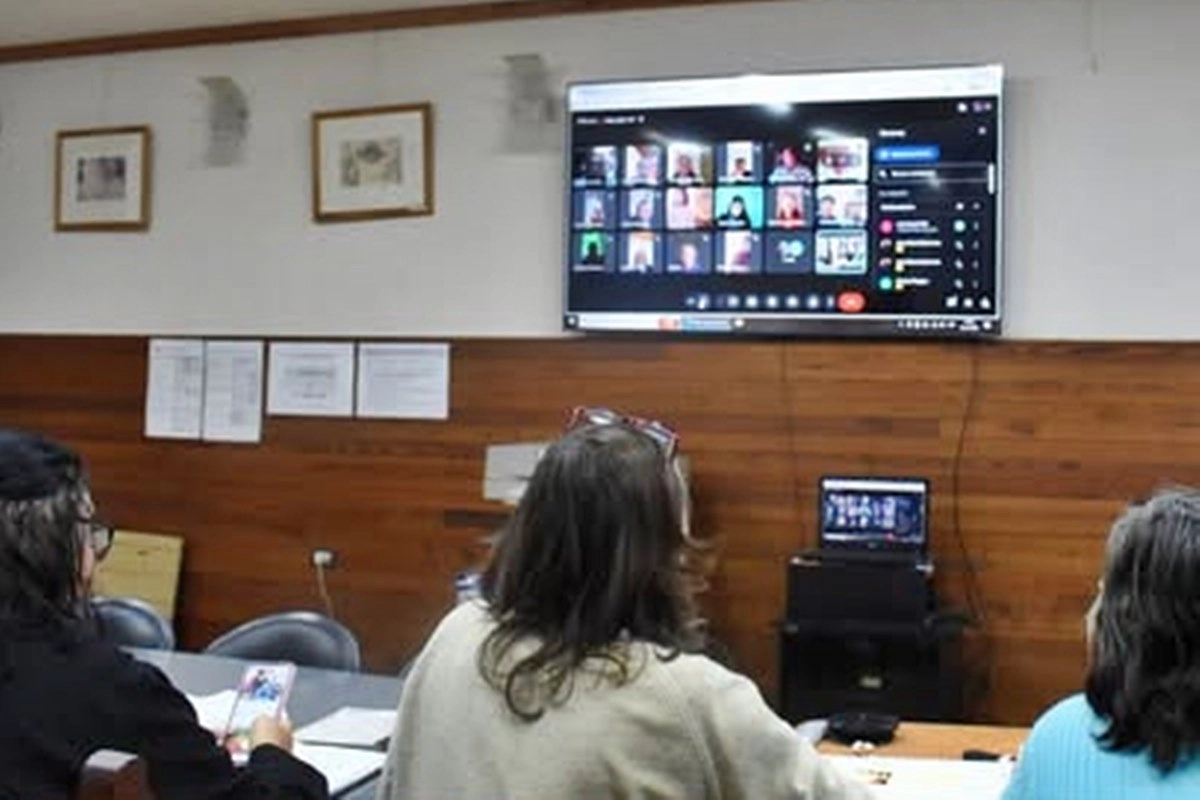 El plenario de este lunes se desarroll&oacute; de manera virtual