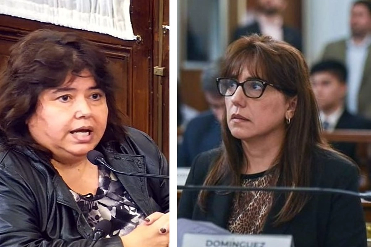Nancy Miranda y Gladys Dom&iacute;nguez, la senadoras del PJ que votaron con el oficialismo.
