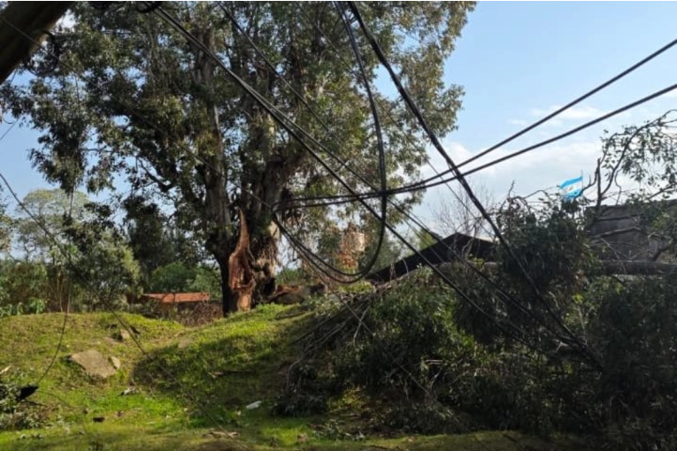Una mujer muri&oacute; en Osvaldo Magnasco durante el temporal tras la ca&iacute;da de un &aacute;rbol sobre su vivienda