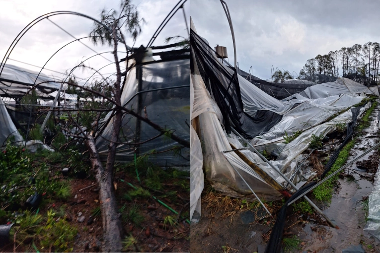 Viverista de Zorraqu&iacute;n remarc&oacute; que en 50 a&ntilde;os no hab&iacute;an sufrido una tormenta de esta magnitud