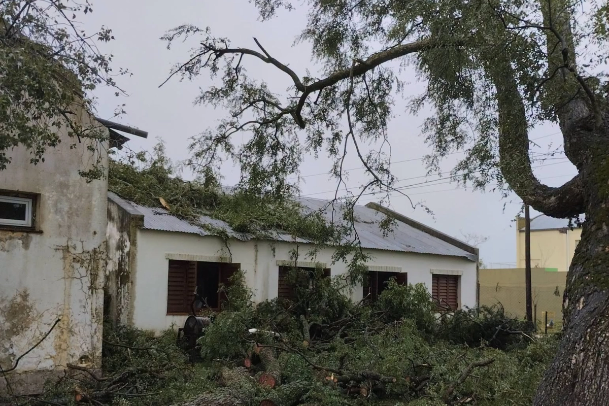 La escuela sufri&oacute; el temporal.