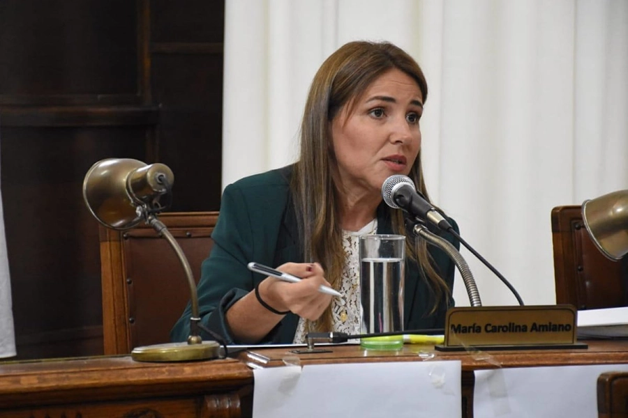 Concejal Carolina Amiano