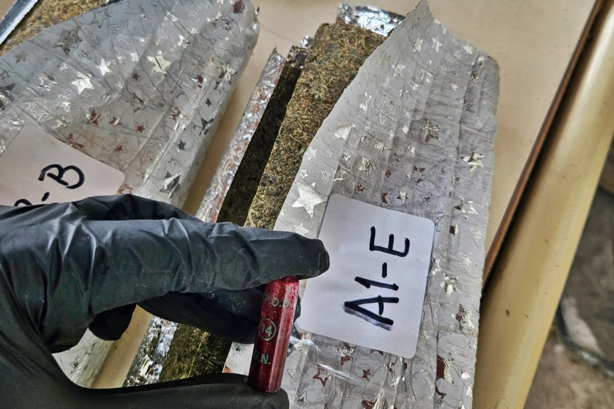Se inautaron m&aacute;s de 230 kilos de marihuana