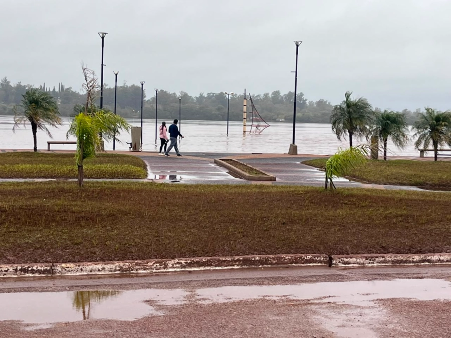 Los trabajos de limpieza comenzaron este mi&eacute;rcoles.