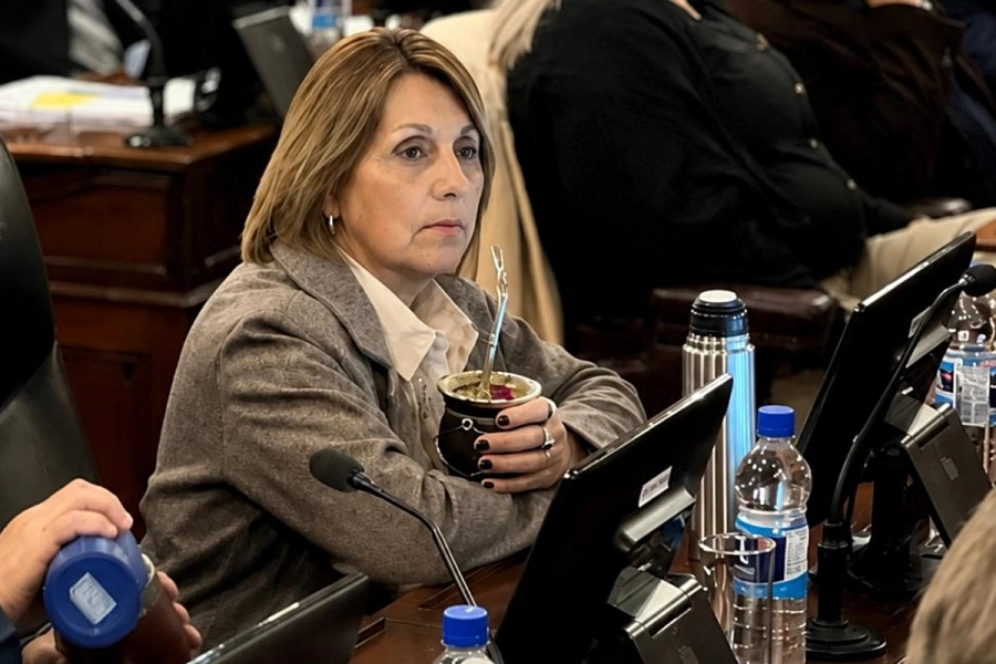 Diputada provincial Liliana Salinas.