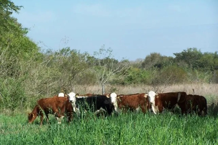 Entre R&iacute;os recuper&oacute; 124.000 hect&aacute;reas de tierras fiscales