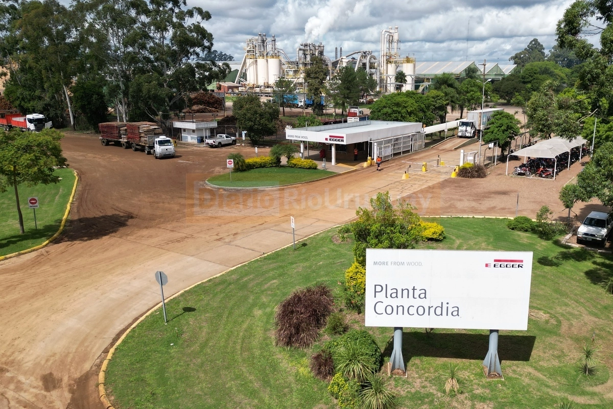 Planta de la empresa EGGER en Concordia