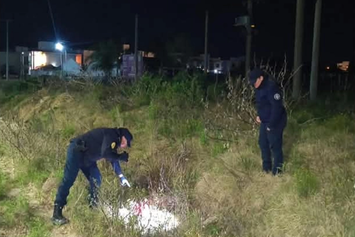 El hallazgo se produjo durante las tareas investigativas iniciadas tras la denuncia.