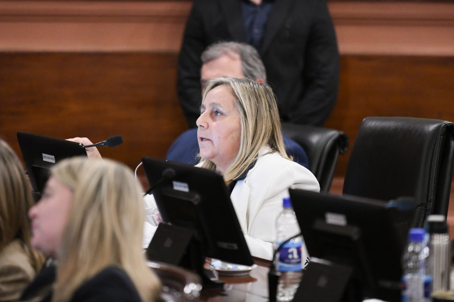 Calleros fue candidata a diputada provincial por LLA.