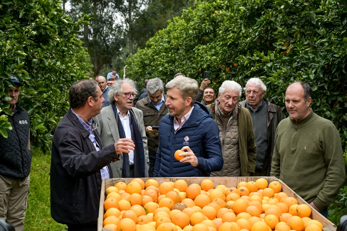 El gobernador recorri&oacute; quintas c&iacute;tricas en el departamento Concordia.