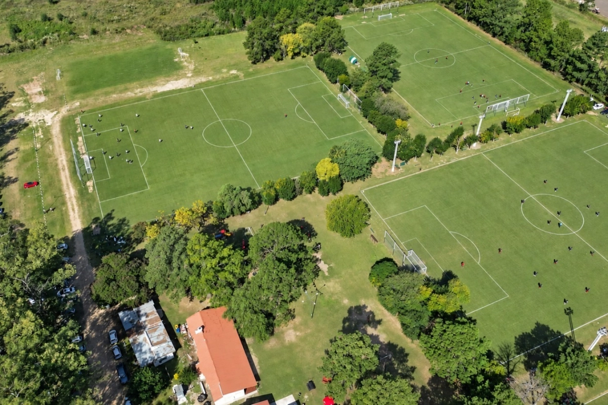 El Club Profesionales