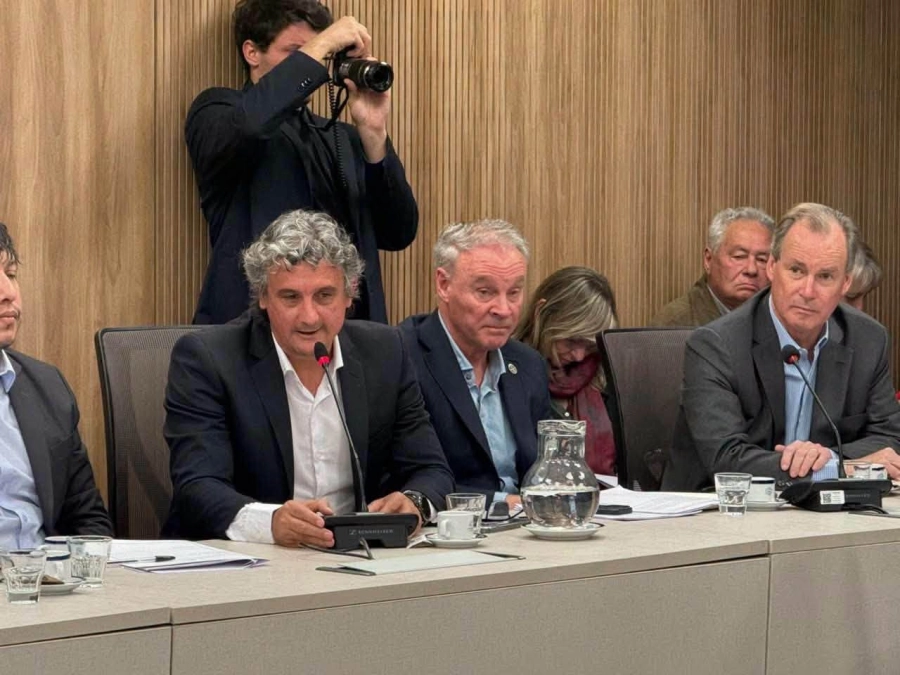 Bordet present&oacute; un proyecto solicitando la urgente intervenci&oacute;n.