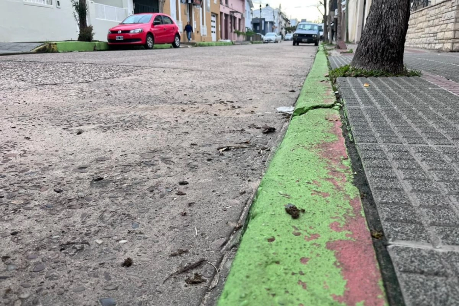 La pintura verde habr&iacute;a durado menos de lo esperado.