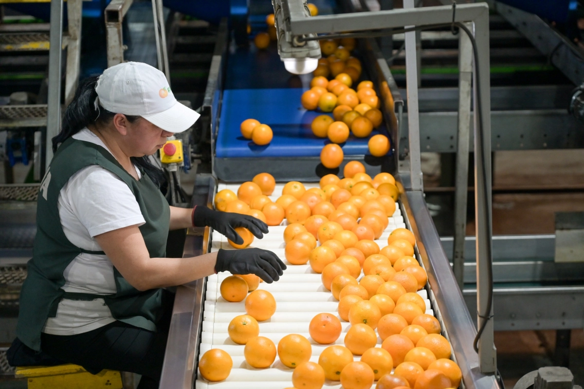 Autoridades de la FECIER hicieron especial hincapi&eacute; en las cuestiones laborales